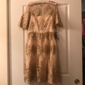 Adrianna Papell Dress